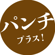 パンチプラス
